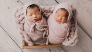 twin newborn photos sydney