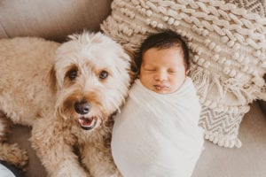 newborn baby with puppy